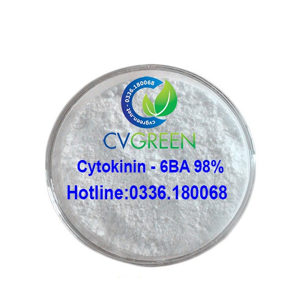 Cytokinine - 6BA 98% - Siêu kích chồi, bật búp  tặng kèm dung môi
