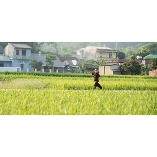 Bà ba nâu cho bé
