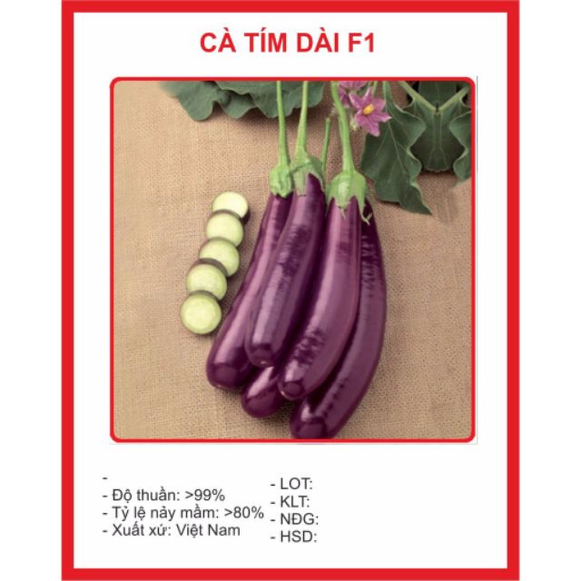 Hạt giống Cà Tím Dài F1 1gram 30 HẠT GIỐNG CÀ TÍM CAO SẢN 1GR hạt giống quả cà tím siêu dài