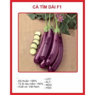 Hạt giống cà tím dài f1 0.1gram 20 hạt giống cà tím cao sản 1gr hạt giống - ảnh sản phẩm 4