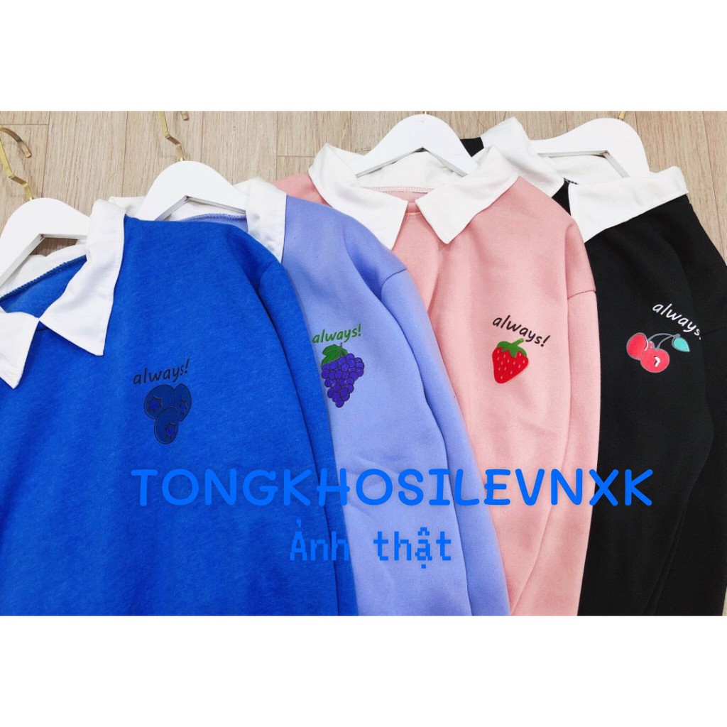 ÁO POLO ALWAYS HOA QUẢ - ÁO SWEATER CỔ BẺ NỈ QUẢ DÂU NHO CHERRY ULZZANG | BigBuy360 - bigbuy360.vn