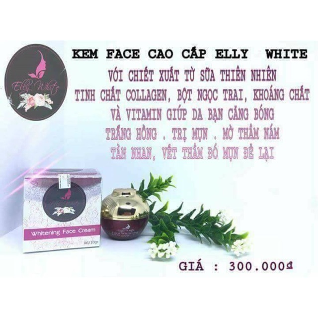 KEM FACE CAO CẤP ELLY WHITE