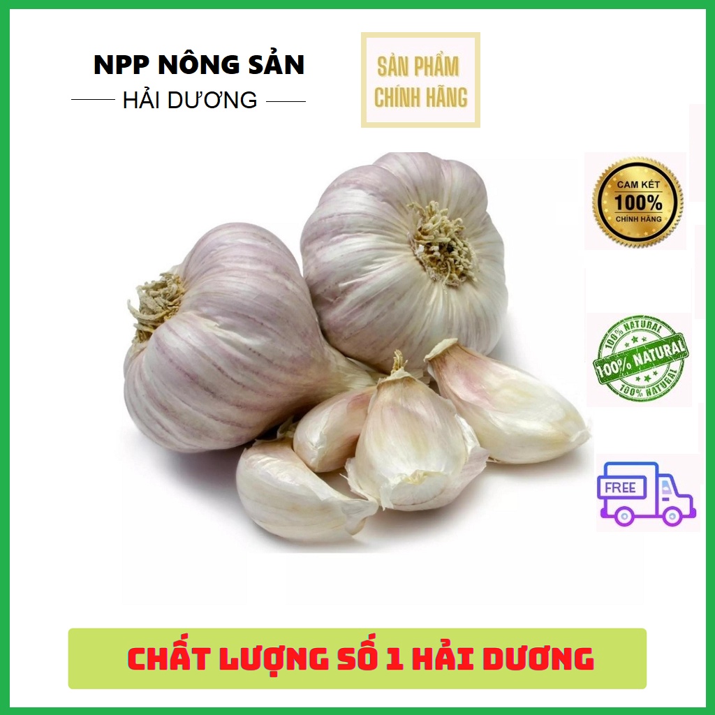 Tỏi Ta Kinh Môn Chính Gốc Túi 1kg, Nhiều Tép loại 1 - Chuẩn Chất Lượng, Gia Vị Cho Sức Khỏe