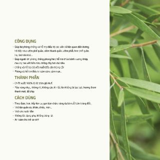 Tinh dầu tràm Huế SamNatural