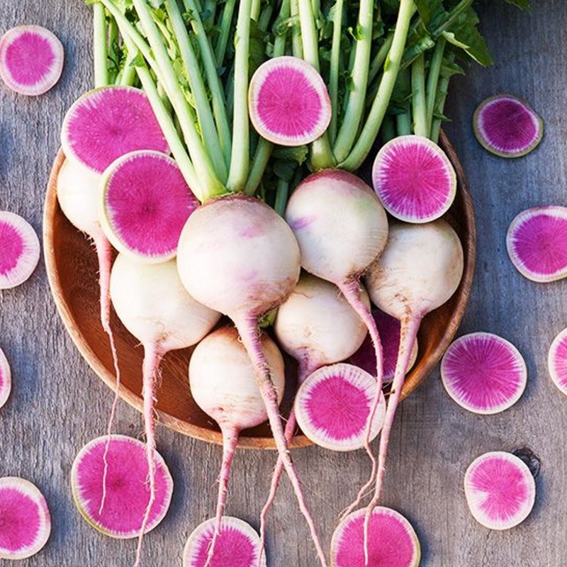[Rẻ Vô Địch] hạt giống Củ cải ruột đỏ