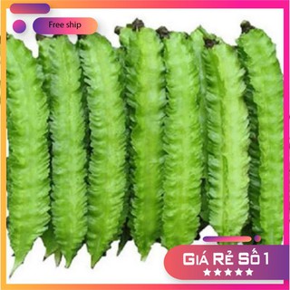 Hạt giống Đậu rồng (gói 10g)