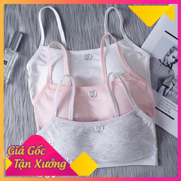 [SIÊU SALE Áo Bra Học Sinh,Bé Gái Có Đệm Ngực