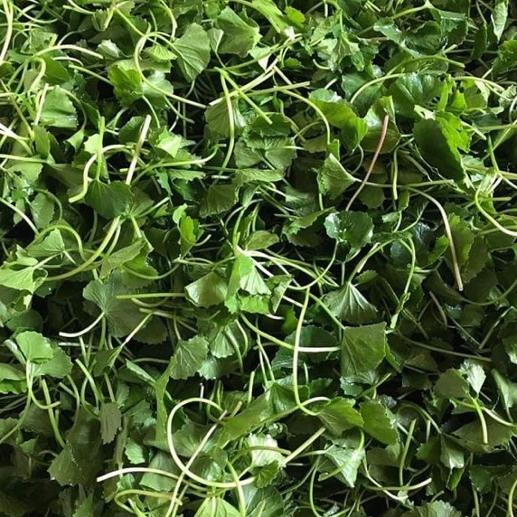 Bột rau má sấy lạnh nguyên chất 100%  200gr - thanh nhiệt, giải độc, giảm cân, tiêu viêm, trắng mịn da | Bột Natural