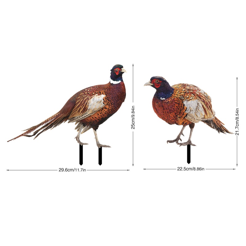 Mô Hình Tượng Động Vật Pheasants Dùng Trang Trí