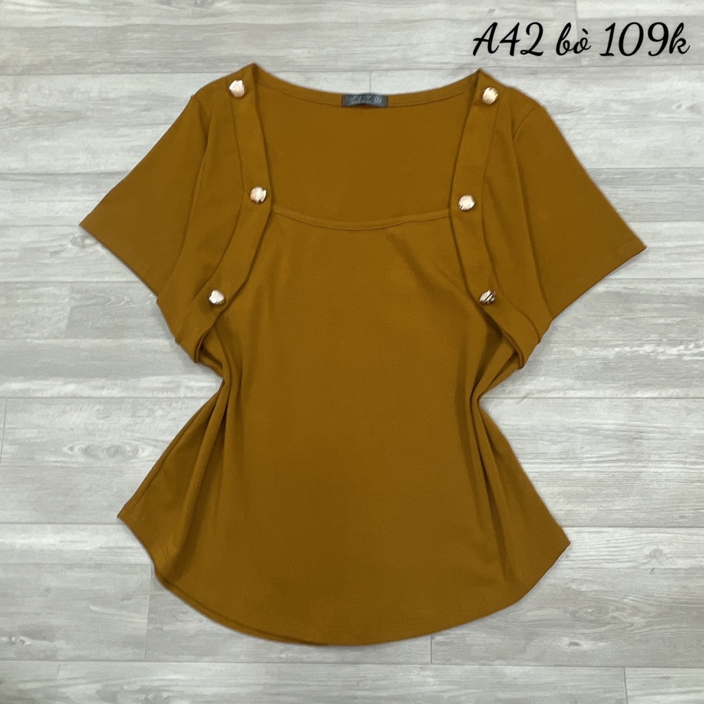 Áo Thun  Bigsize,Áo big Cổ U Chất Liệu Vải Thun Borib Thái  A42