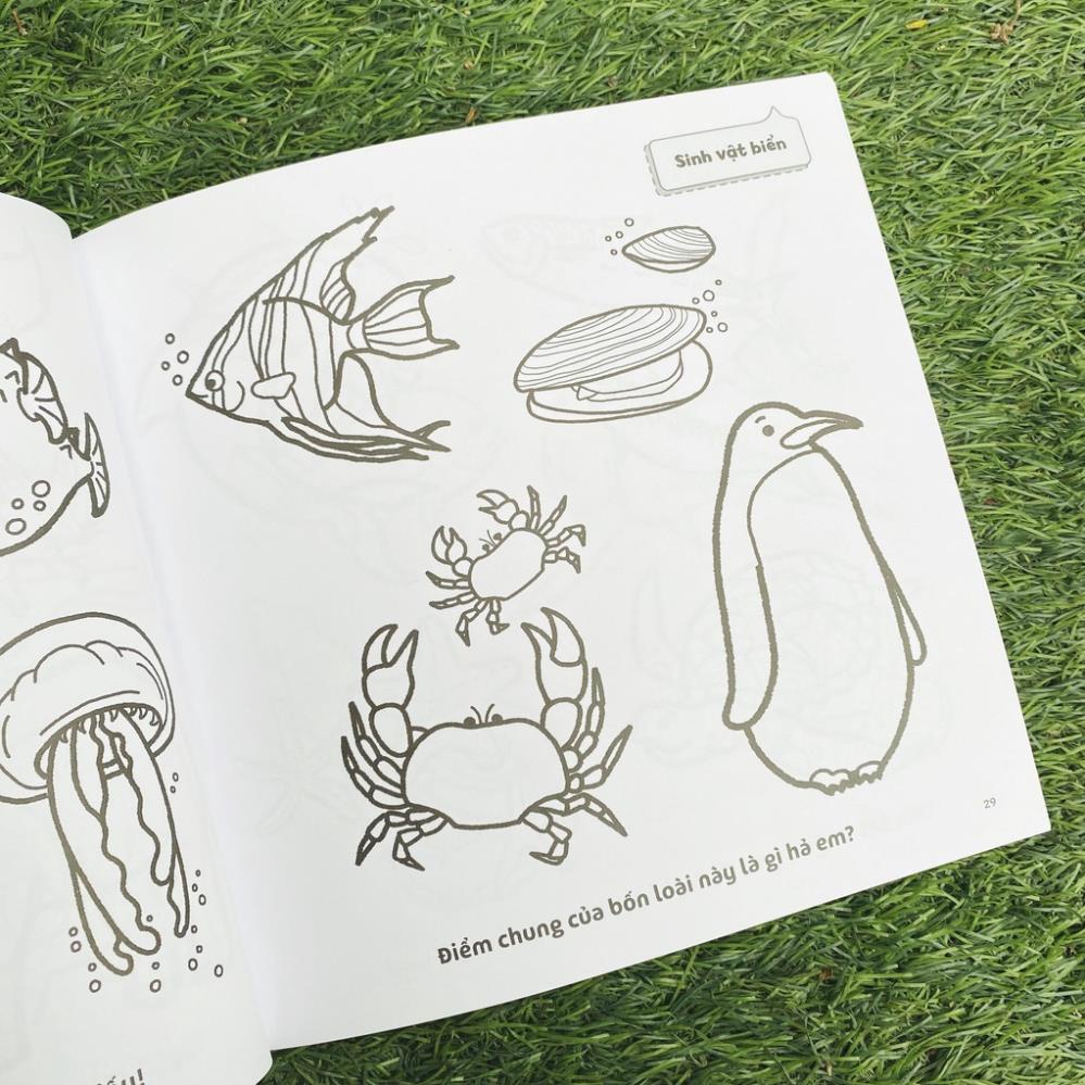 Sách - 500 mẫu tô màu kích thích não bộ