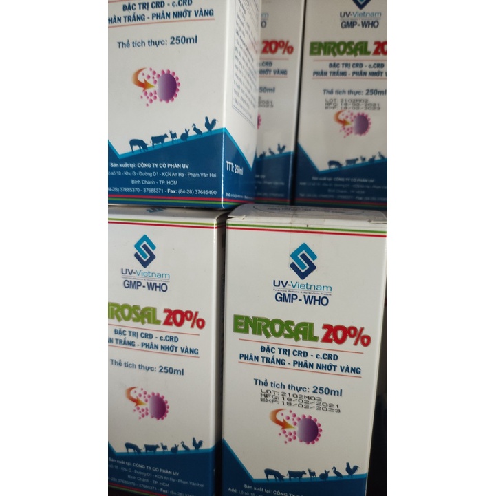 [DT] EROSAL 20% 250ML sản phẩm Bổ sung vitamin và dinh dưỡng