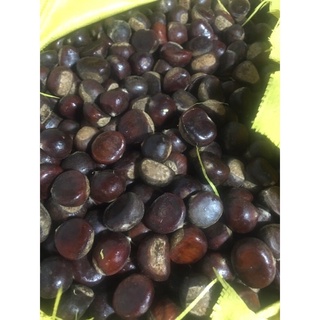 1kg hạt dẻ sống 75k