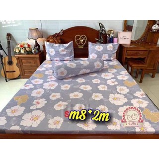 Ga chống thấm nano suri 2,2 + 2 vỏ gối