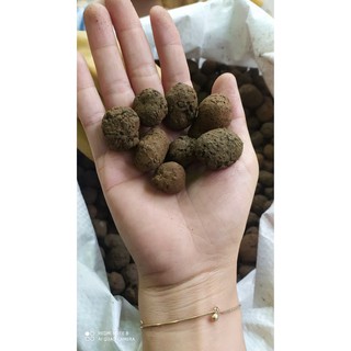 Đất nung - sỏi nhẹ- sx tại VN -1kg - size lớn 10-20mm