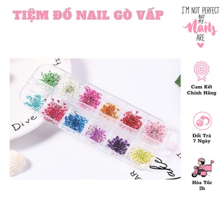 Hoa Khô Chùm Ẩn Gel