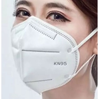 Khẩu trang y tế N95 (Túi 5 cái)