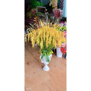 com bo 25 cây  bông lúa vàng ấm no cả nhà