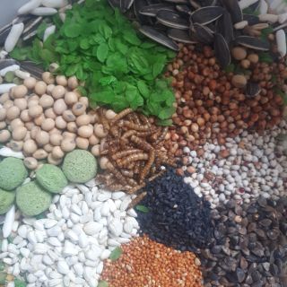 Thức ăn trộn ngon 500g