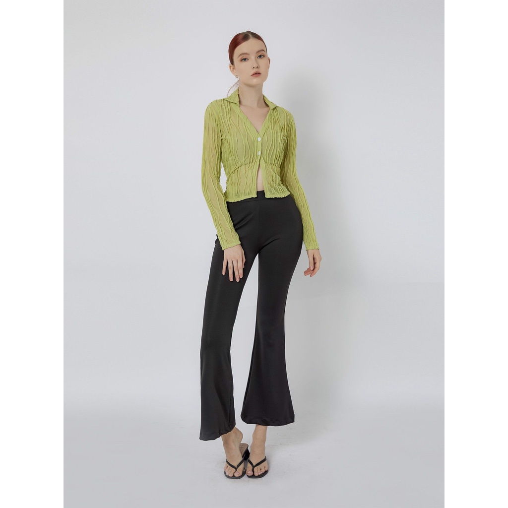 Quần Dài Nữ Ống Loe Basic , Chất Cotton Thoải mái , WQD000009,SOMEHOW