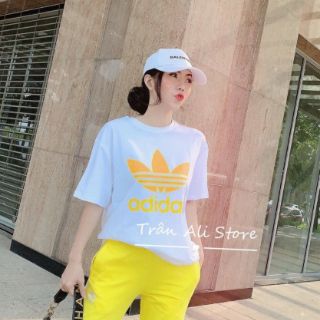 Bộ dài hot hit