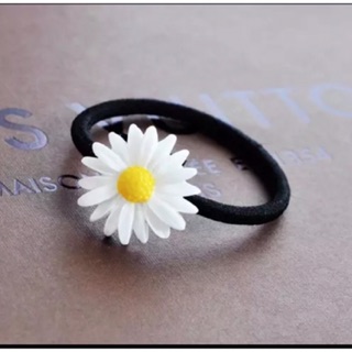 Decal con đường mùa thu PK191
