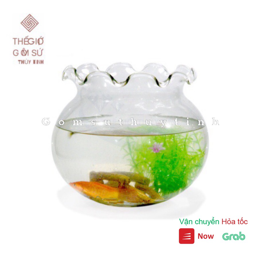 BỂ CÁ THỦY TINH HỒ CÁ CHẬU CÂY MIỆNG BÈO D30CM x 25CM B12