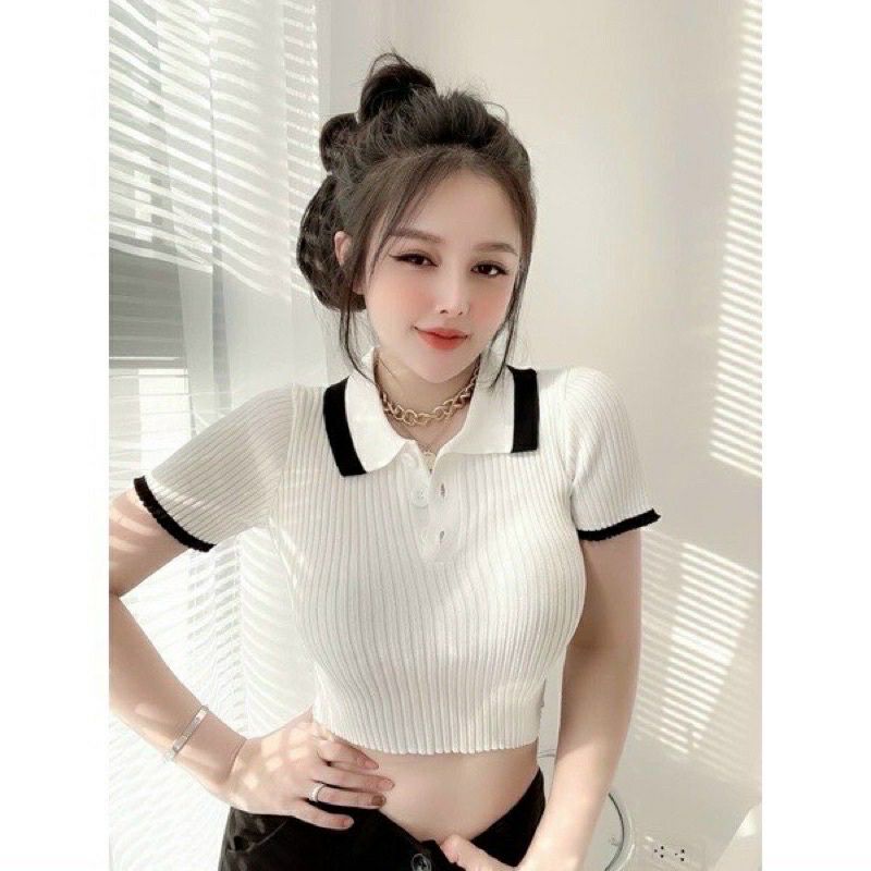 ÁO CROPTOP CHẤT GÂN TĂM CÓ CỔ HÀNG ĐẸP- kèm ảnh thật