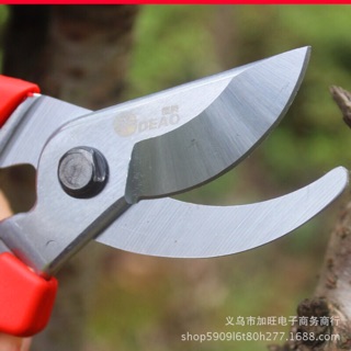 Kéo bấm cành cây màu đỏ