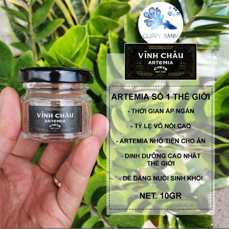 Artemia Vĩnh Châu Bạc Liêu - 10gr và 20gr GuppyXanh