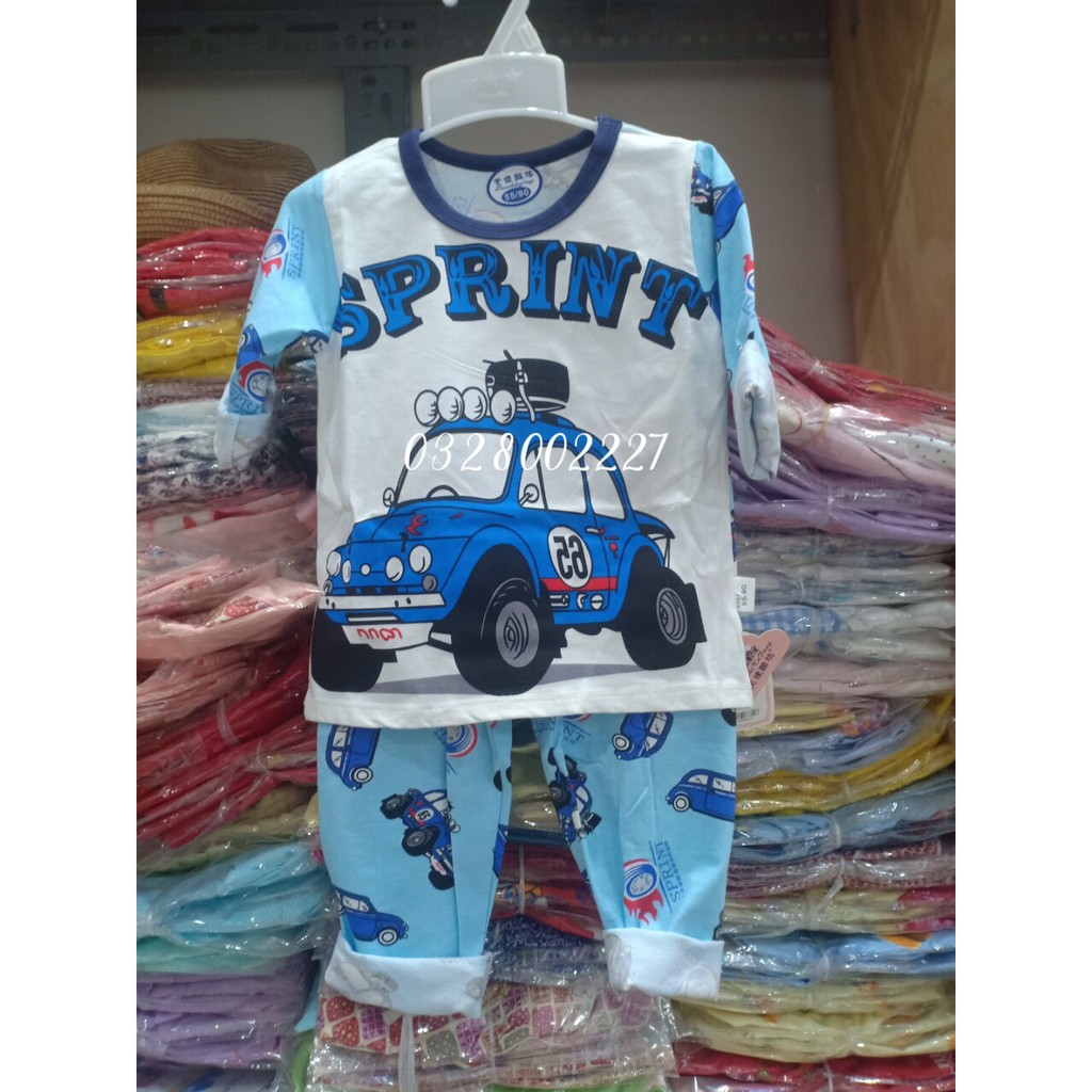 Bộ Tay Dài Cotton Cho Bé Trai ( Bé 6 tháng đến 3 tuổi )