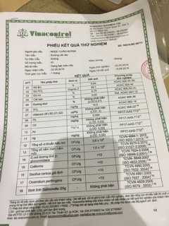 Đường cát ngà
