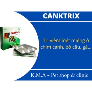 10 viên canktrix - sản phẩm dùng cho chim cảnh bị viêm loét miệng