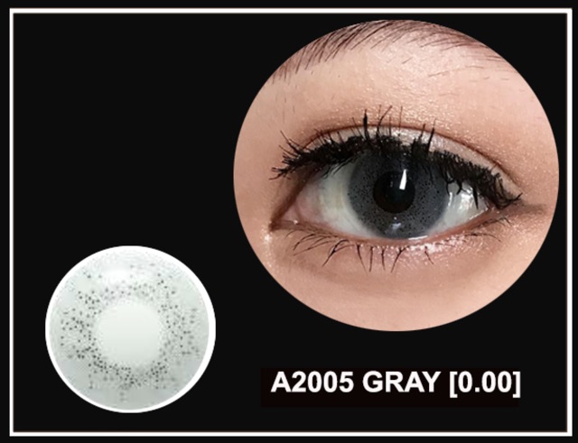 Kính áp tròng dùng 1 ngày A2005 Gray- 14.2mm (0 độ)