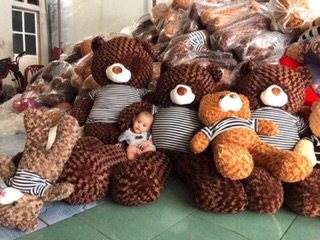 Gấu teddy cao 80 cm