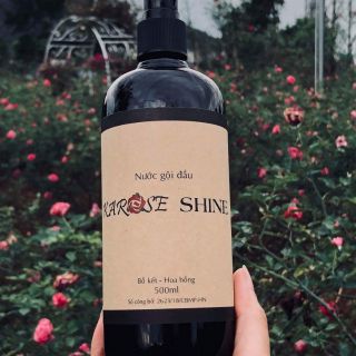 Nước gội đầu bồ kết hoa hồng Karose Shine