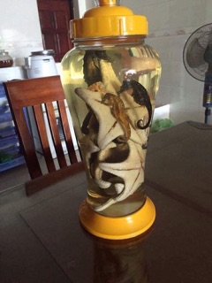 1 Cá ngựa khô
