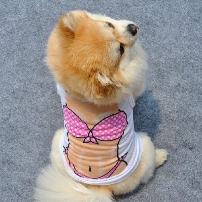 Bộ áo lưới sexy cho cún miu