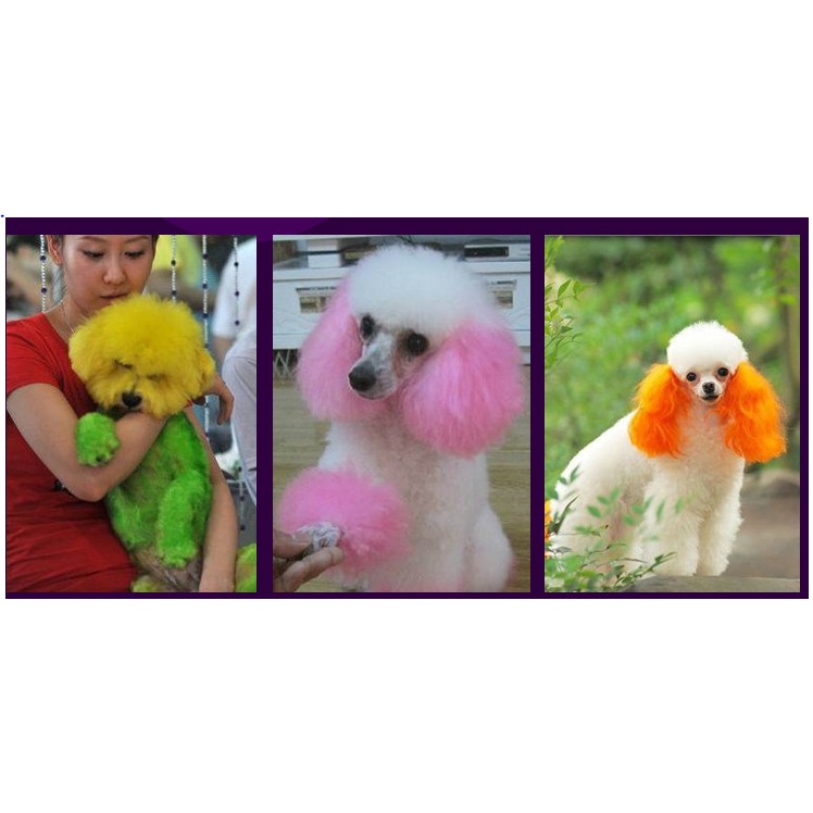 Thuốc Nhuộm Lông Cho Chó Mèo Pet Stain Hộp 100ml