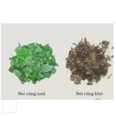 500gr cây sói rừng khô hàng chuẩn xịn, thơm ngon