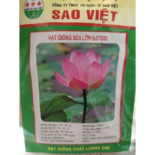 Hạt giống hoa sen lá lớn