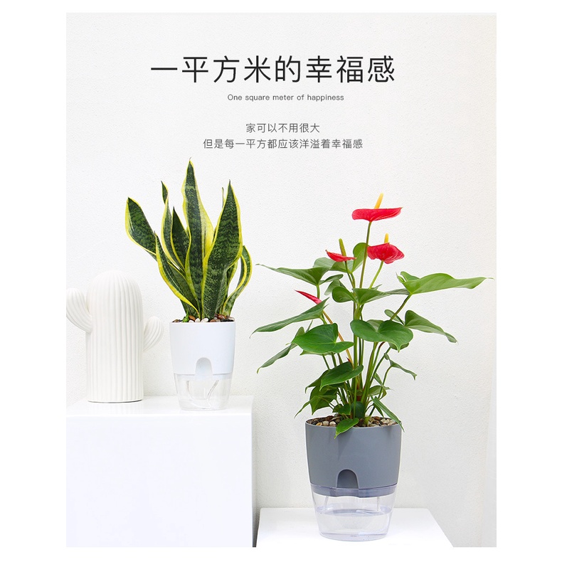Chậu cây thông minh tự dưỡng Eliz Flower Chậu trồng cây tự tưới trang trí văn phòng, bàn làm việc