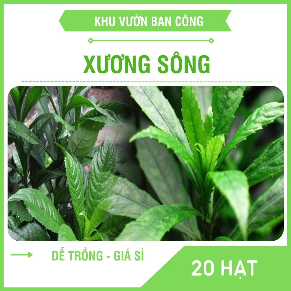 Hạt Giống Lá Xương Sông, Cây Gia Vị Truyền Thống Dễ Trồng Gói 0.5G 20 Hạt - Khu Vườn Ban Công
