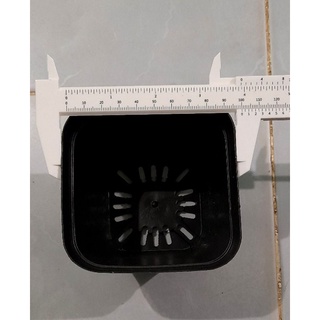Chậu nhựa đen size lớn