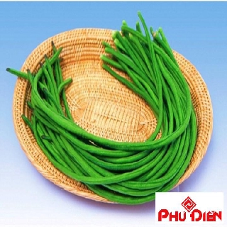 Hạt giống đậu đũa  PHÚ ĐIỀN