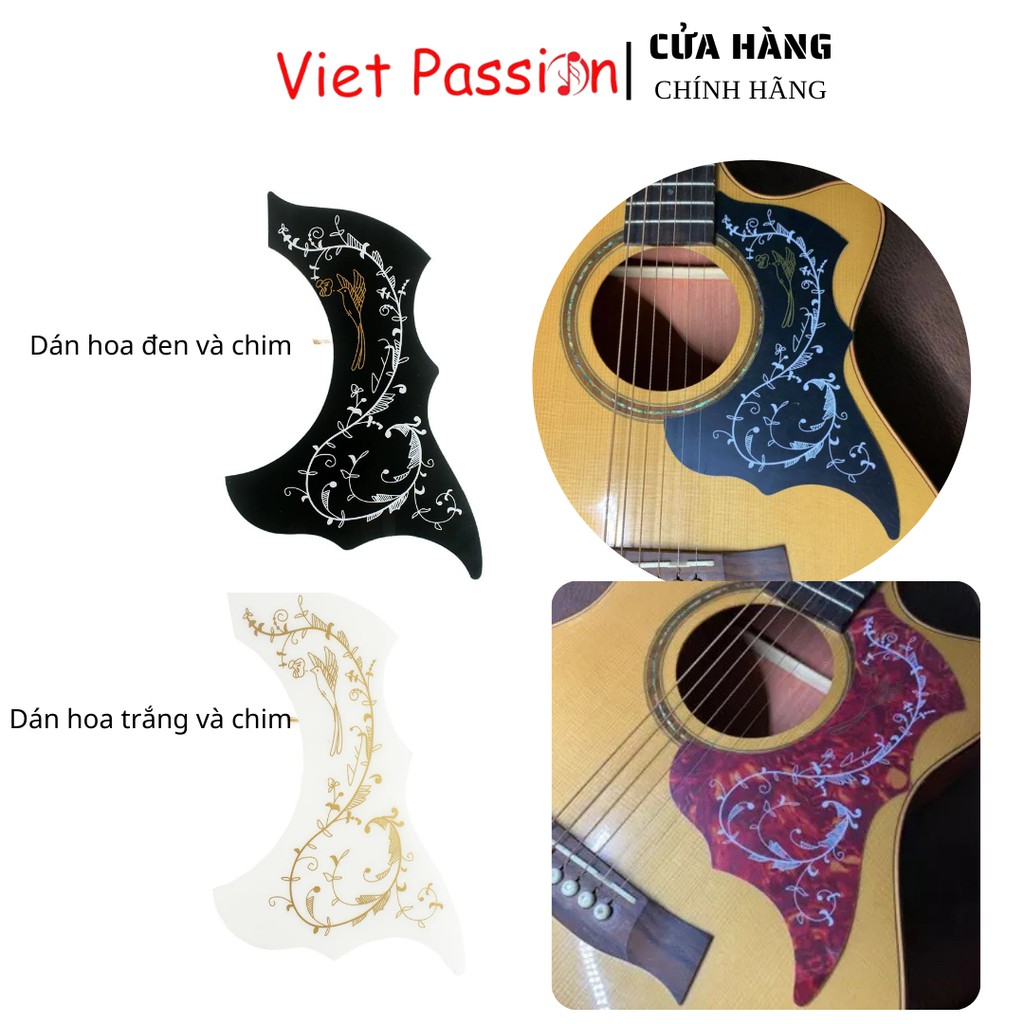 Miếng dán trong suốt chống trầy xước cho đàn guitar acoustic, classic vietpassion