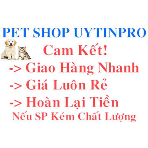 DÂY DẮT KÈM VÒNG CỔ DẠNG YẾM CHO Thú Cưng Chó Mèo dưới 10kg Chất liệu dù và thun co giãn bản rộng 1cm Sọc màu xanh