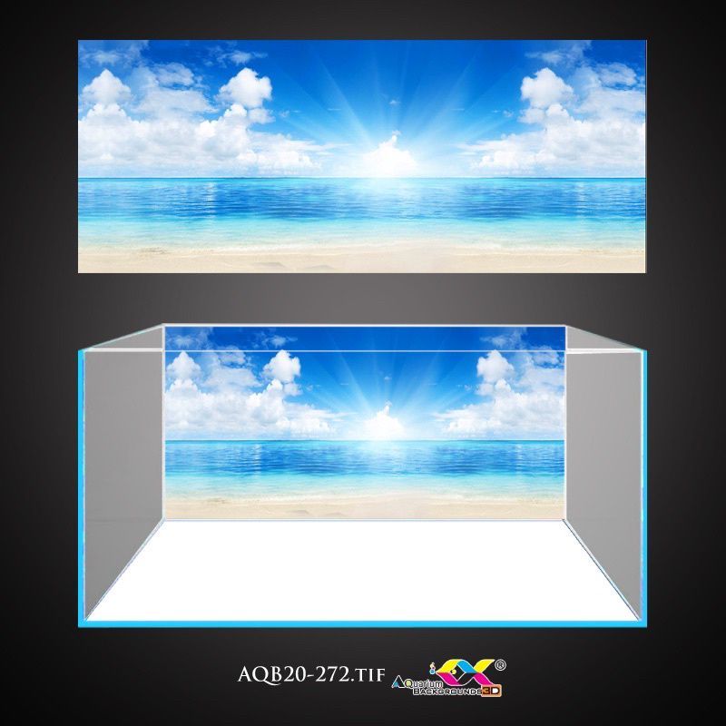 Tranh 3D dán bể cá cảnh - chất liệu decal cao cấp