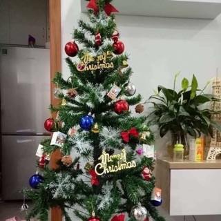 Cây Thông Noel