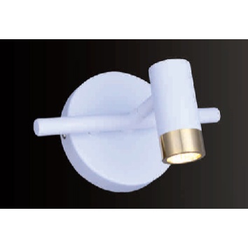 Đèn gắn tường trang trí rọi gương, soi tranh hiện đại PT-6270